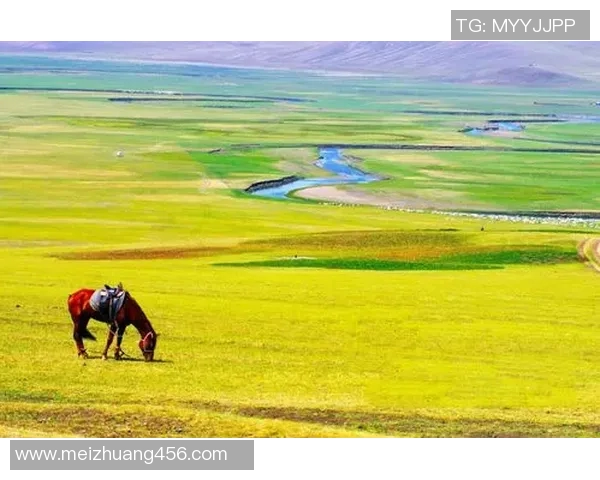 足球明星与秋天美景交融的绝美瞬间展现了运动与自然的和谐之美