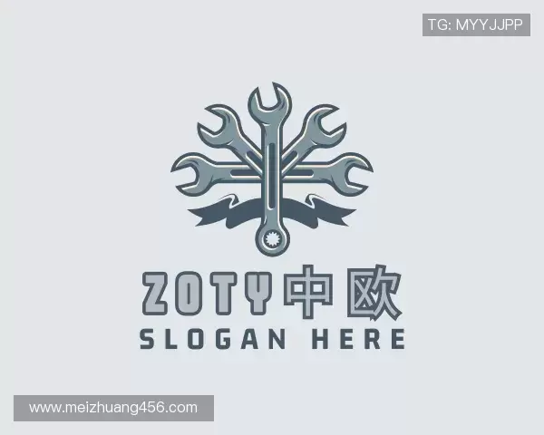 解读zoty中欧